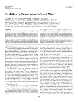 Ovulation in Plasminogen-Deficient Mice