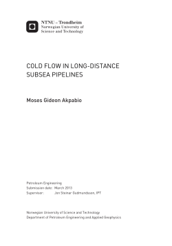 648699_FULLTEXT01