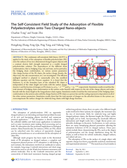 The Self-Consistent Field Study of the Adsorption