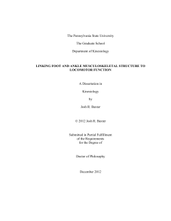 LINKING FOOT AND ANKLE MUSCULOSKELETAL STRUCTURE
