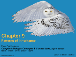 Chapter 9
