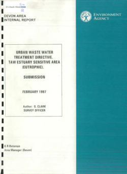 Display PDF in separate tab