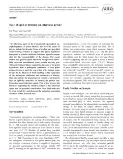 Role of lipid in forming an infectious prion?
