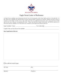 Eagle Scout - Reference Form