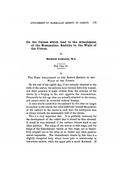 On the Causes which lead to the Attachment of the Mammalian