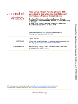 and Induces Nuclear Invaginations Localizes to the Endoplasmic