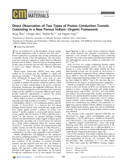 Direct Observation of Two Types of Proton Conduction Tunnels
