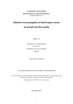 Selection and propagation of hybrid aspen clones for growth and