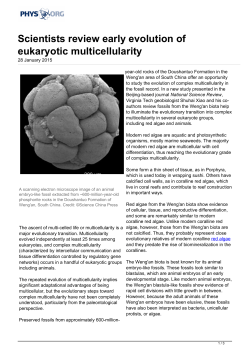 Scientists review early evolution of eukaryotic