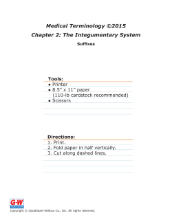 Chapter 2 Suffixes E-Flash Cards