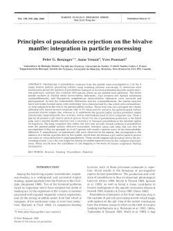 Principles of pseudofeces rejection on the bivalve