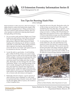 Ten Tips for Burning Slash Piles