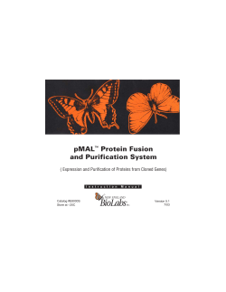 pMAL Protein Fusion and Purification System E8000 manual