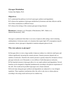 Glycogen Metabolism