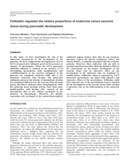 Follistatin regulates the relative proportions of endocrine