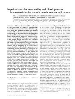 Impaired vascular contractility and blood pressure homeostasis in
