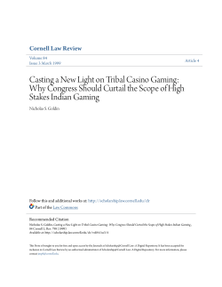 Casting a New Light on Tribal Casino Gaming