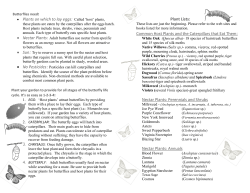 Gardening for Butterflies