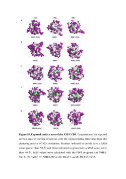 Figure S6. Exposed surface area of the A3G CCDA