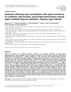 Hydraulic efficiency and coordination with xylem resistance to