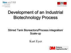 Development of an Industrial Biotechnology Process Using Animal