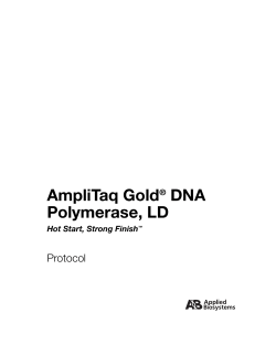 AmpliTaq Gold&reg; DNA Polymerase, LD Protocol