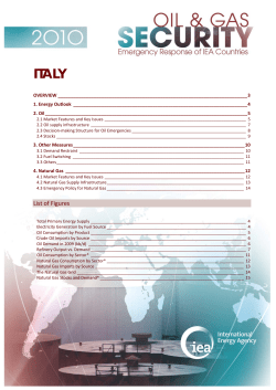Italy 2010 - International Energy Agency