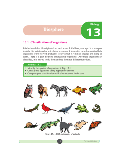 Biosphere - e