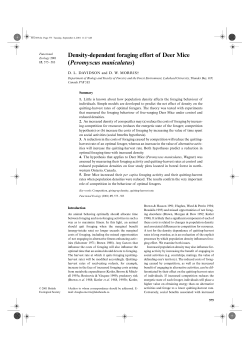 Effect of population density on the foraging effort of deer mice