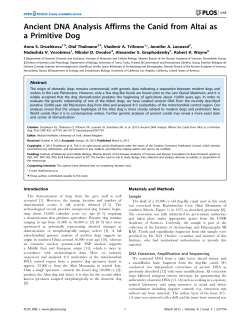 Ancient DNA Analysis Affirms the Canid from Altai as a Primitive Dog