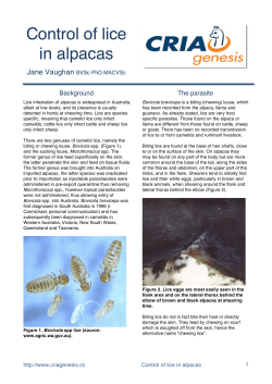 Control of lice in alpacas