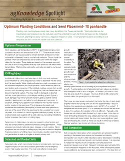 Optimum Planting Conditions and Seed Placement