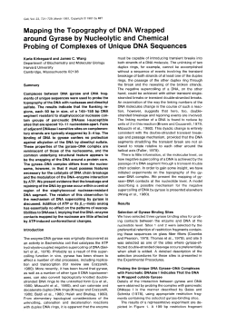 Mapping the Topography of DNA Wrapped around Gyrase by