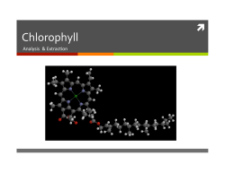 Chlorophyll