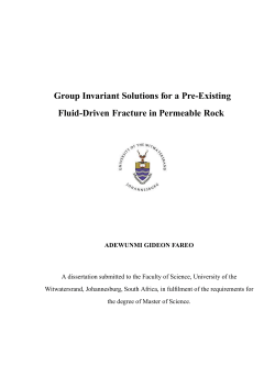 Group Invariant Solutions for a Pre-Existing Fluid-Driven