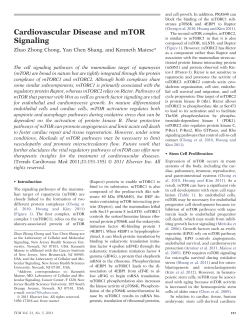 Cardiovascular Disease and mTOR Signaling