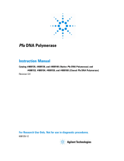 Pfu DNA Polymerase