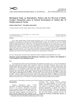 Histological Study on Reproductive Pattern and Sex Reversal of