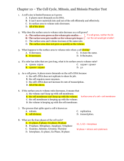 Chapter 10 &ndash; The Cell Cycle, Mitosis, and Meiosis Practice Test
