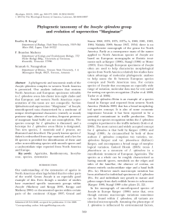 Phylogenetic taxonomy of the Inocybe splendens