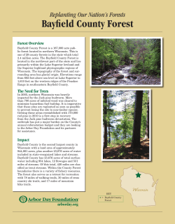 Bayfield County Forest