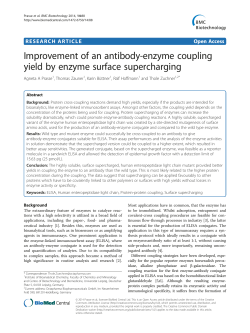 Improvement of an antibody-enzyme coupling yield