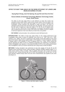 EFFECT OF SEAT TUBE ANGLE ON THE WORK EFFICIENCY OF