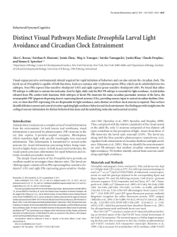 Distinct Visual Pathways MediateDrosophilaLarval Light