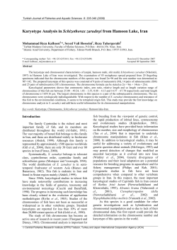 Karyotype Analysis in Schizothorax zarudnyi from Hamoon Lake, Iran