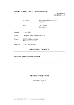 Brock Norton Sentencing Notes