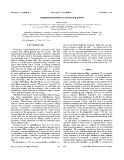 Numerical simulation of cellular tip growth