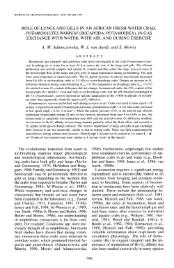 role of lungs and gills in an african fresh