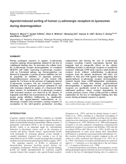 &szlig;2-adrenergic receptors and lysosomes