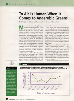 To Air Is Human When It Comes to Anaerobic Greens